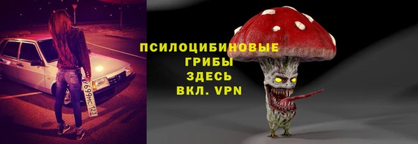 не бодяженный Арсеньев