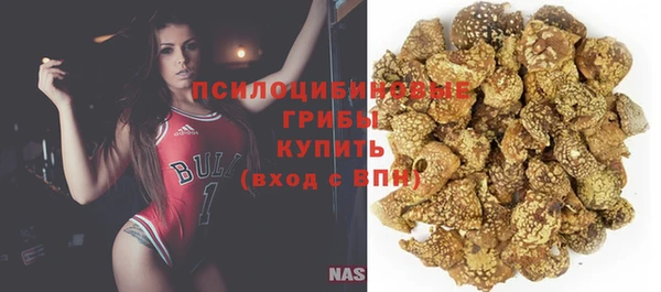 не бодяженный Арсеньев