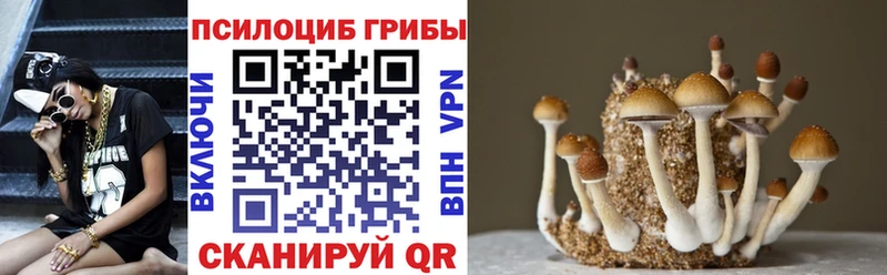 Псилоцибиновые грибы Psilocybe  Орёл 